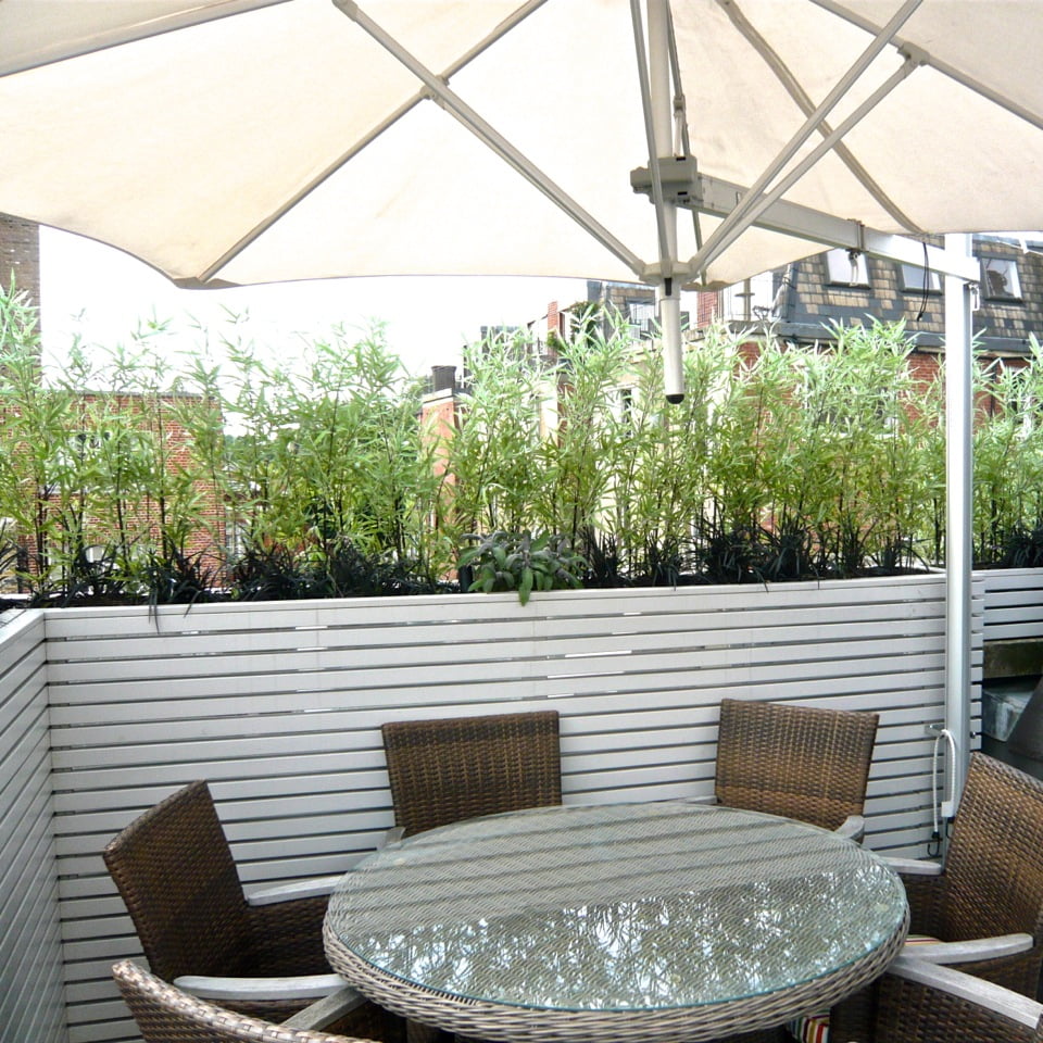 These mirrors make a huge difference & throw smart but sparkly light around both day & night