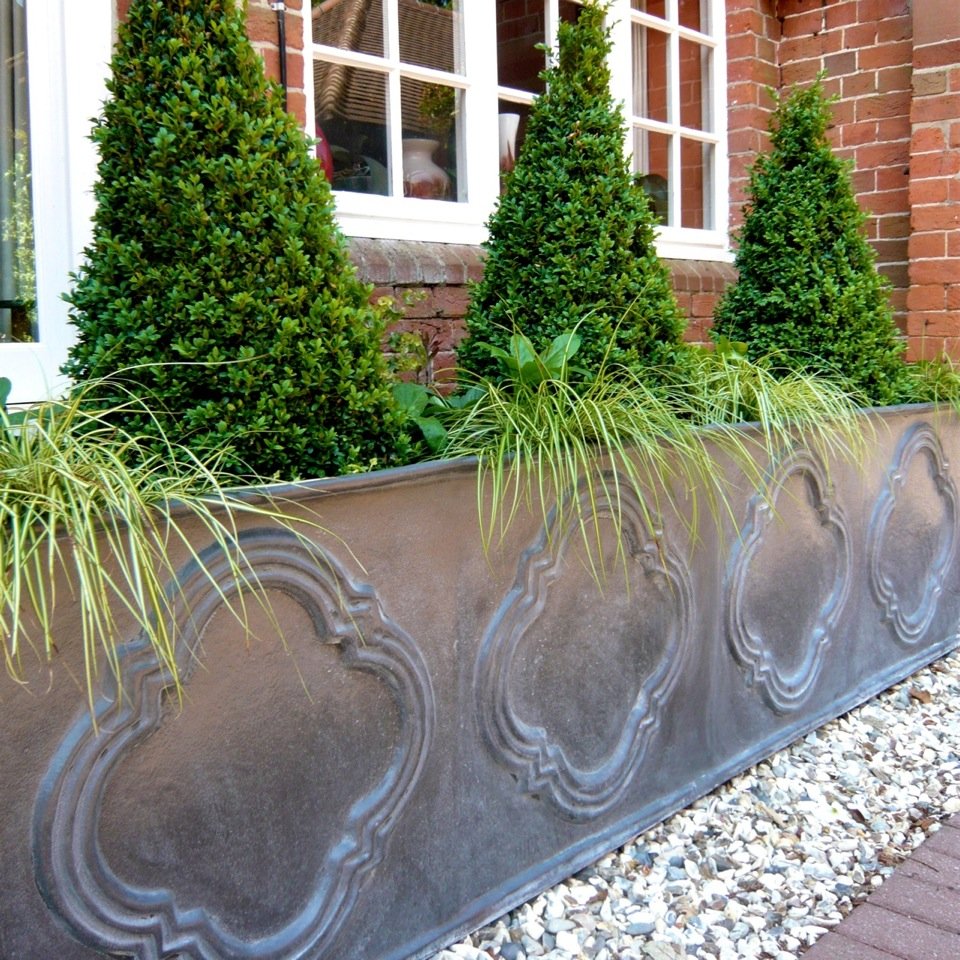 Box topiary & grasses in this large lead planter at the entrance to a large victorian country house