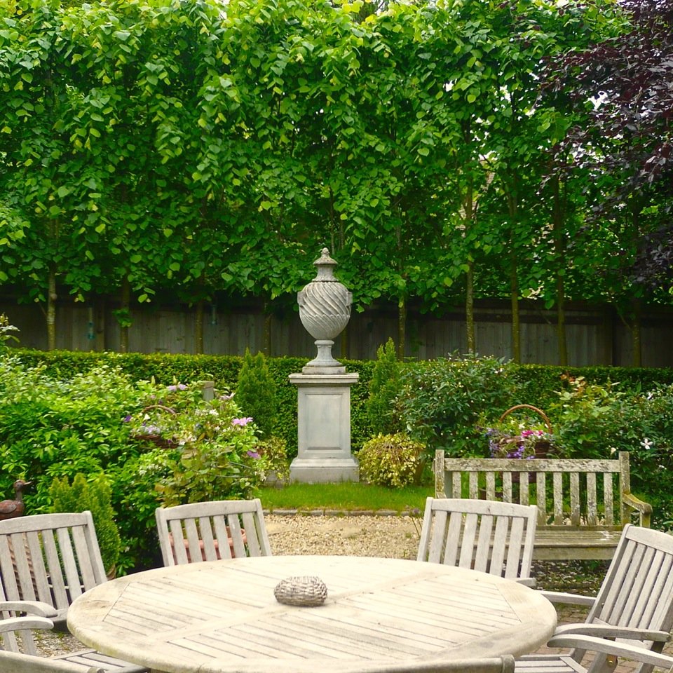 These pleached lime trees provide a super backdrop & much needed privacy in this town garden in the heart of Stow on the Wold