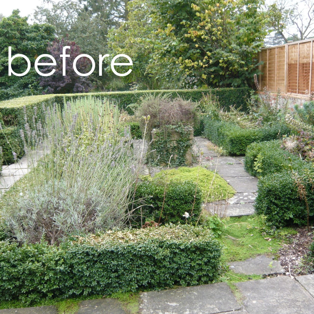 The before shot shows what a mess this formal courtyard garden had become. It was soon to reemerge as a beautiful parterre