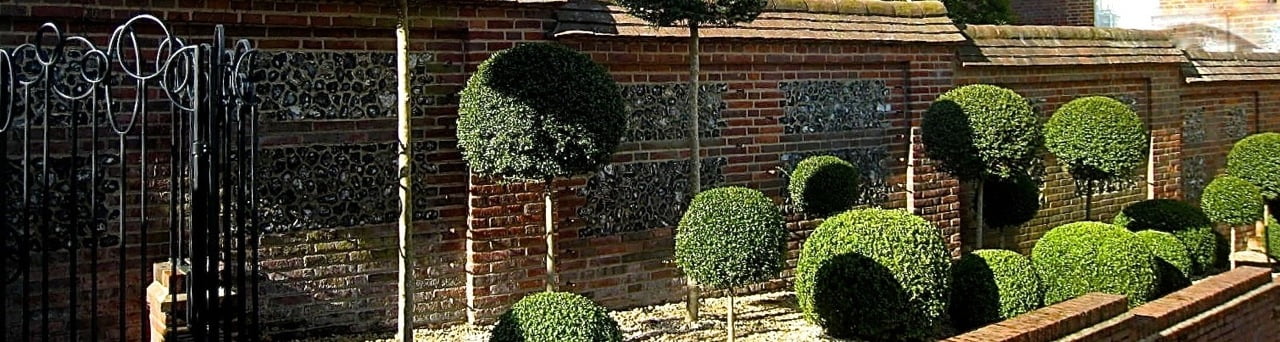 This is the topiary bed I designed for my clients Buckinghamshire garden. It is very simple & smart & looks great year round