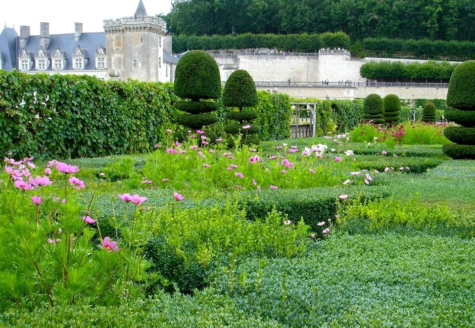 I took this photo at the amazing gardens of Villandry in the Loire Valley. It is astonishing to see in the flesh with so much attention to detail in this wonderful place