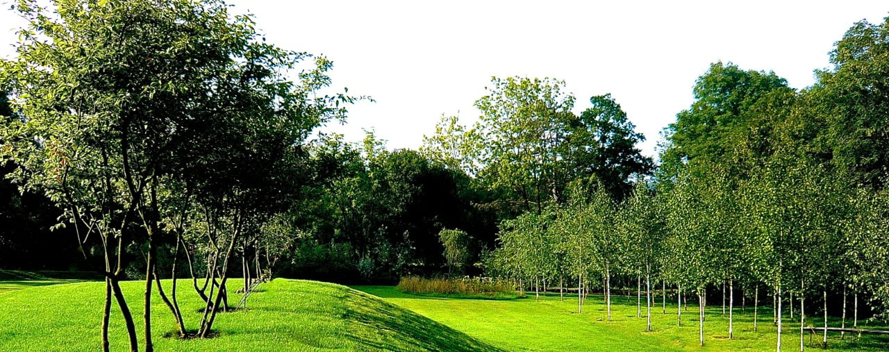 Here is my photo of the land sculpture at my clients house in Buckinghamshire. We raised the land to meet the house & it works wonderfully well with these multi stemmed amelanchier trees planted through it.