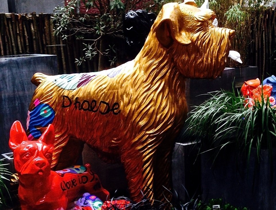 We visited Brussels & I very much enjoyed mocking through some lovely shops. These gaudy dogs could look great in the right space if you like slightly off the wall style!