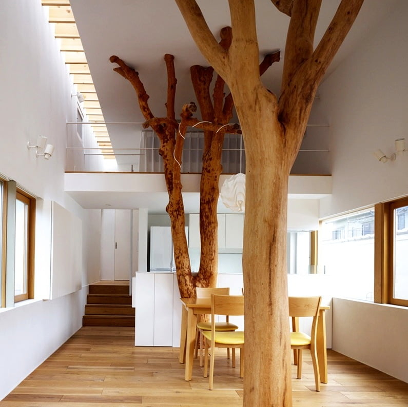 This is quite an extreme take on tree houses! Really amazing & surprisingly effective.