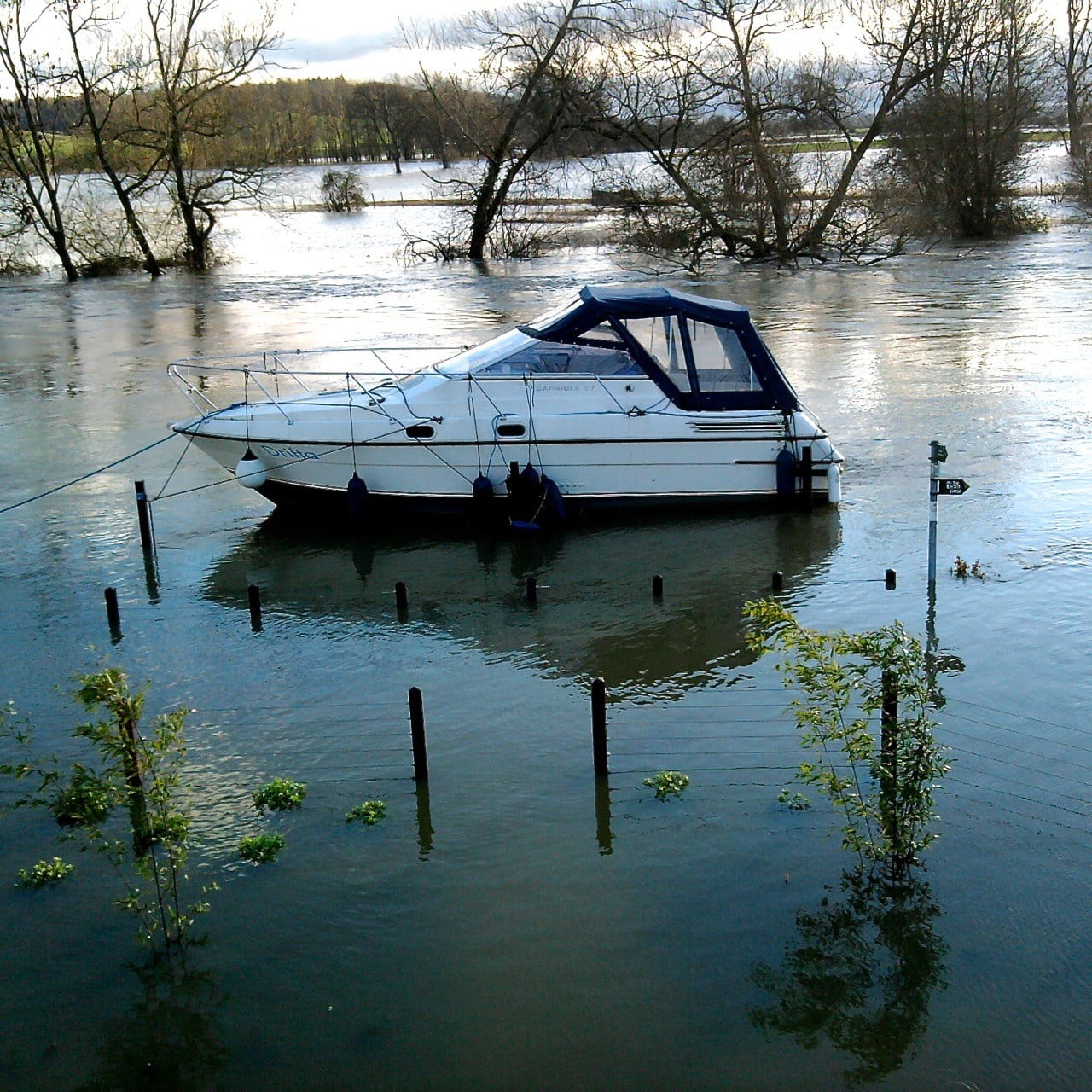 I designed a riverside garden for my clients living beside the Thames. It was designed to deal with flooding as you can see it does actually happen! All is well no damage done