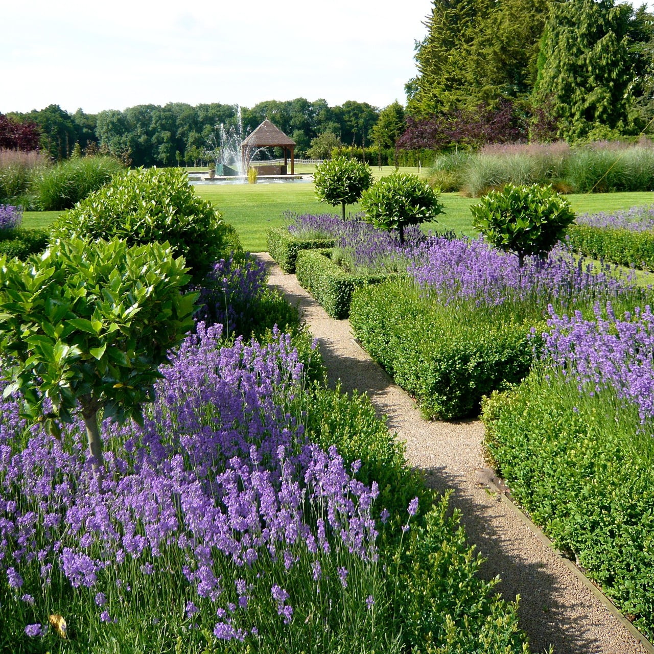 This is the lovely large parterre in a very large country garden near Henley On Thames I designed. It used to be a commercial nursery so it's quite a transformation!