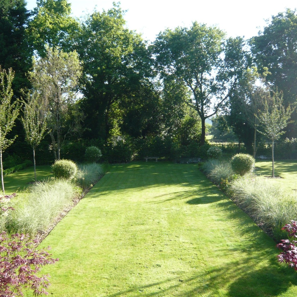 Shed is behind the hedge