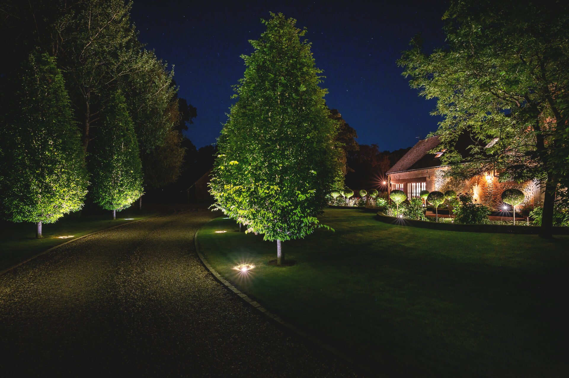 Hornbeam trees in a garden near Henley designed by Jo Alderson Phillips www.joannealderson.com