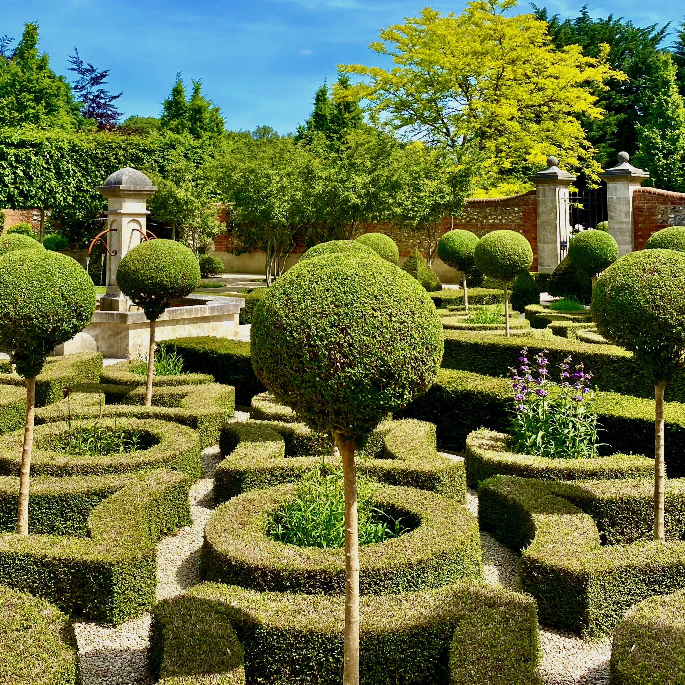 the knot garden