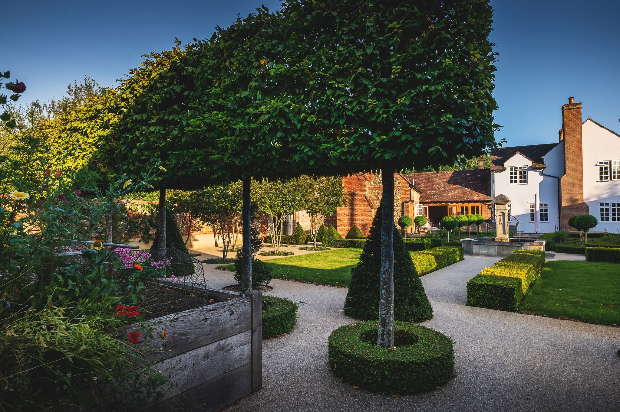Pleached trees & French style garden by Jo Alderson Phillips - Jo ...