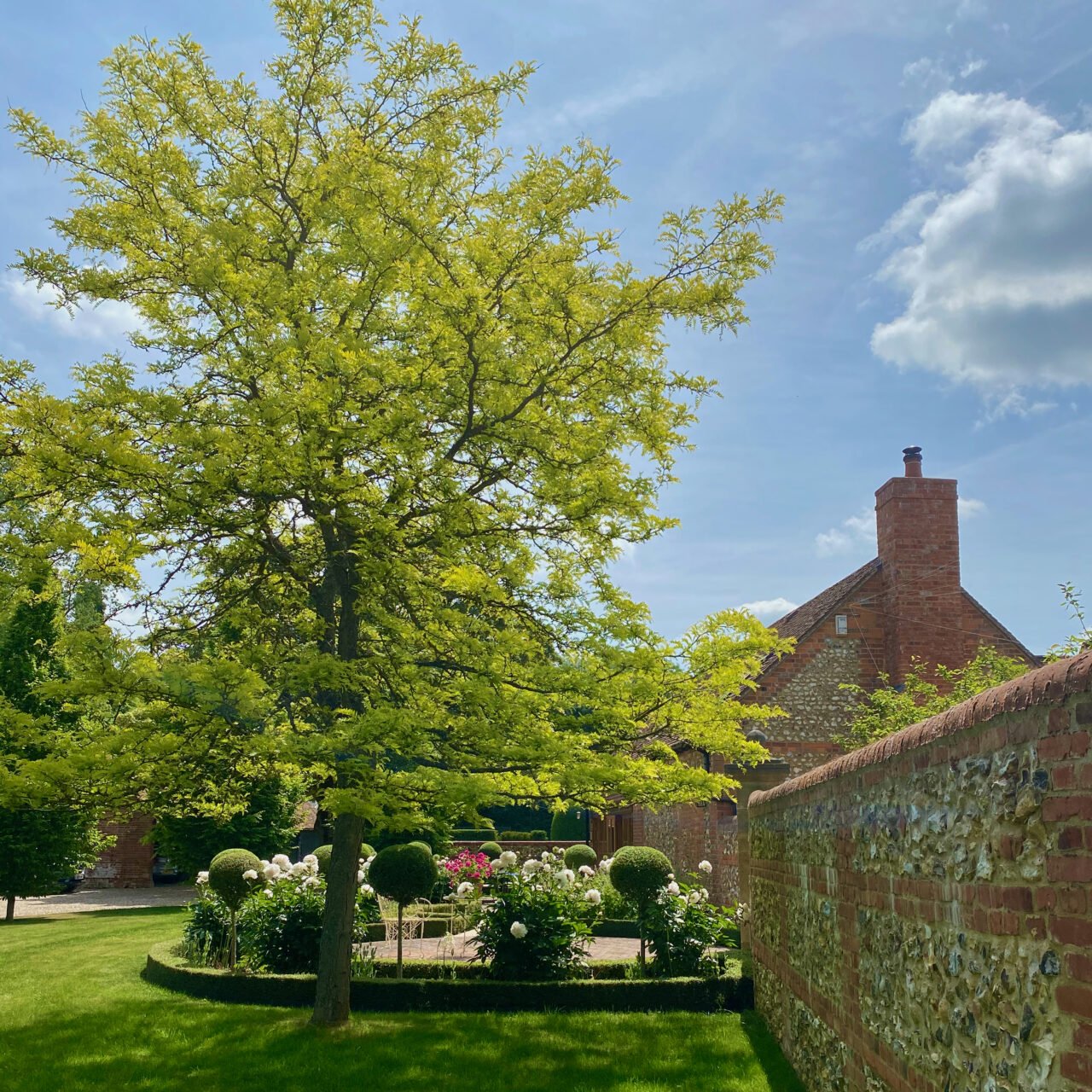 the front lawn & kitchen terrace of a garden near Henley designed by Jo Alderson Phillips www.joannealderson.com
