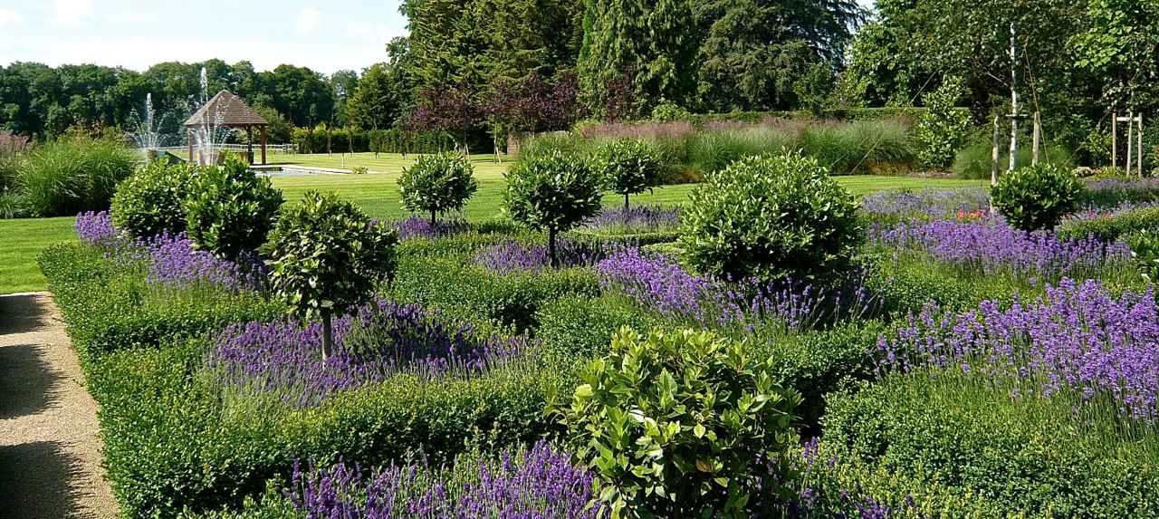 A large garden with formal styling with lots of lavenders within the parterre & a formal square pool & summerhouse