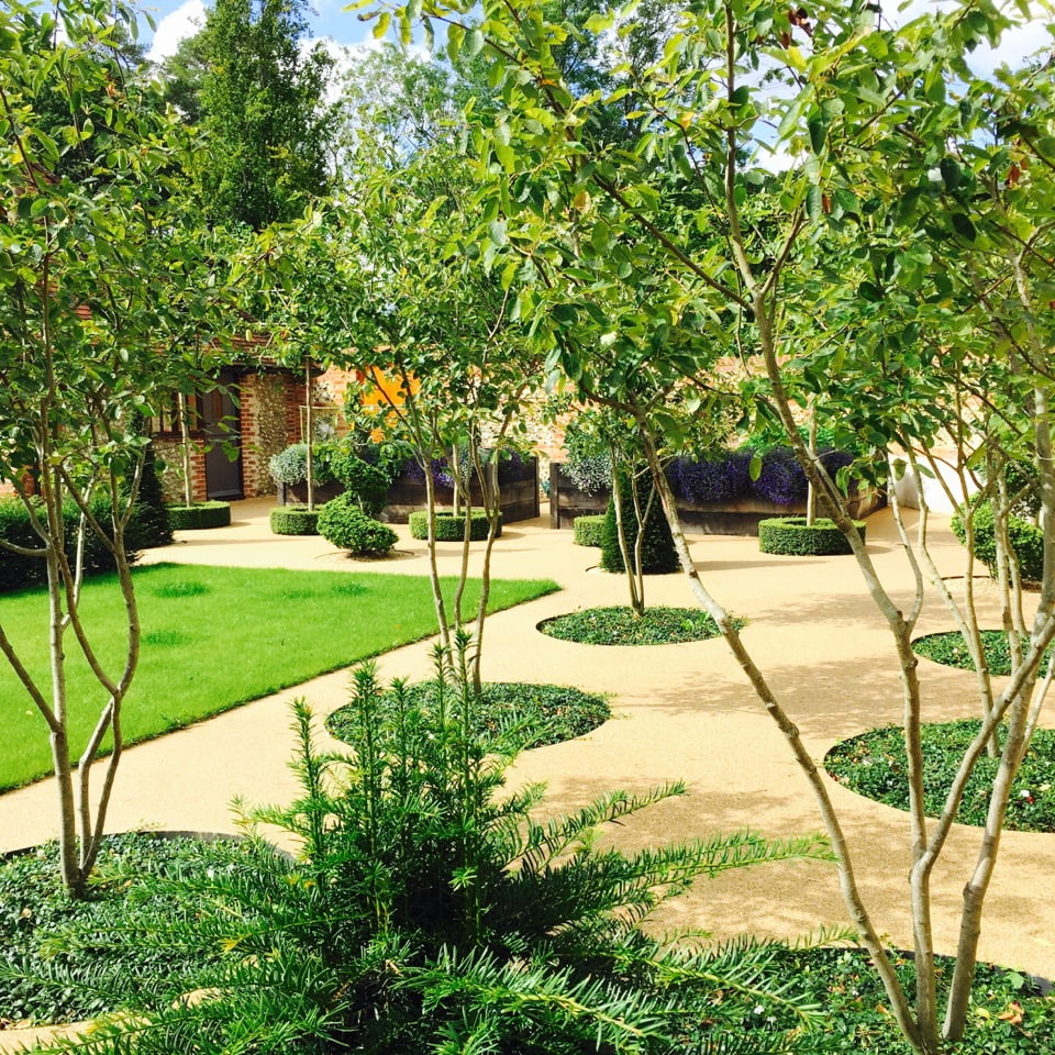 These are the lovely multi stemmed Amelanchier trees in the walled garden I designed for my clients near Henley on thames