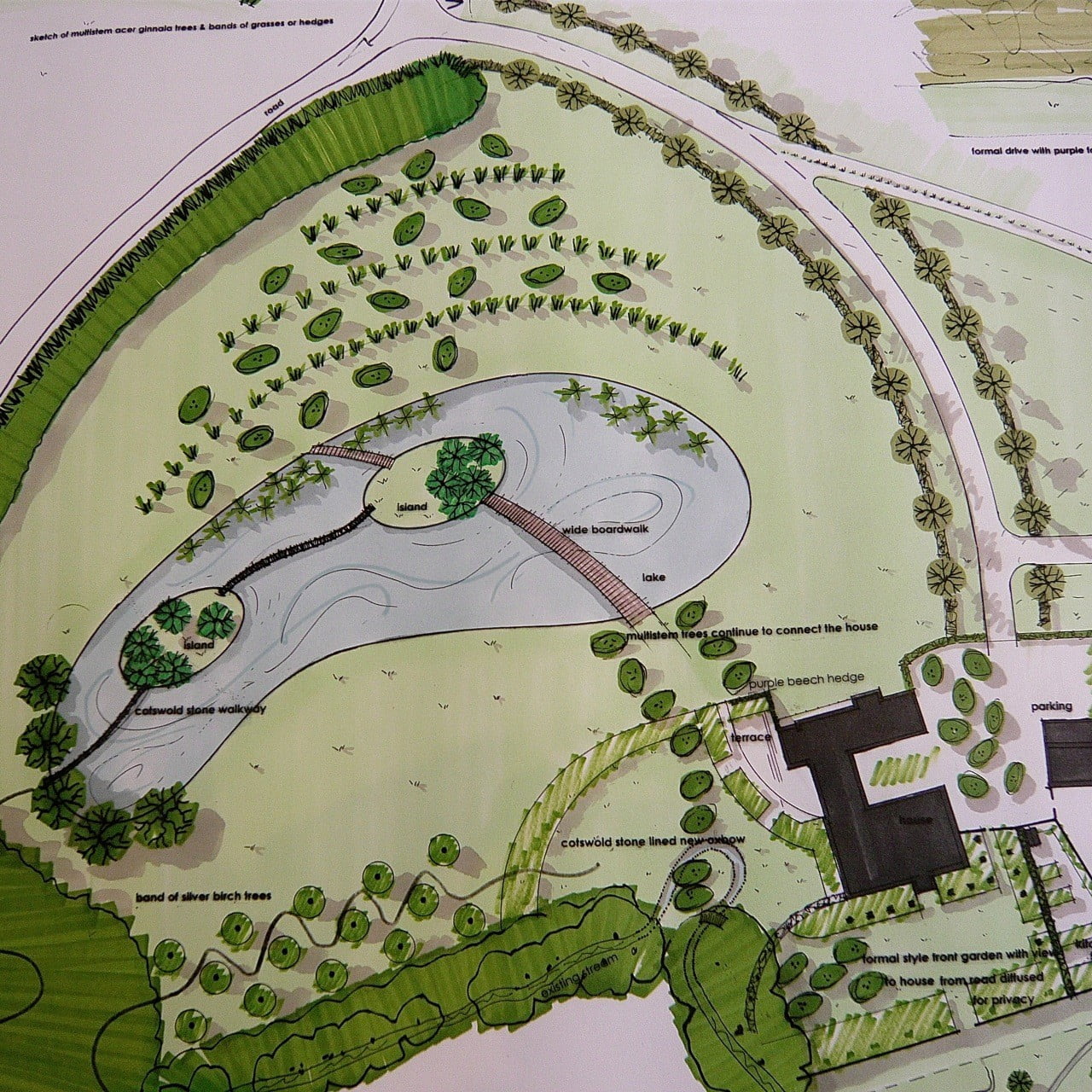 This is my drawing for a very large estate garden in the cOtswolds. Seen here is the new lake with boardwalk & arc of beautiful multistemmed trees for a natural look in this country landscape