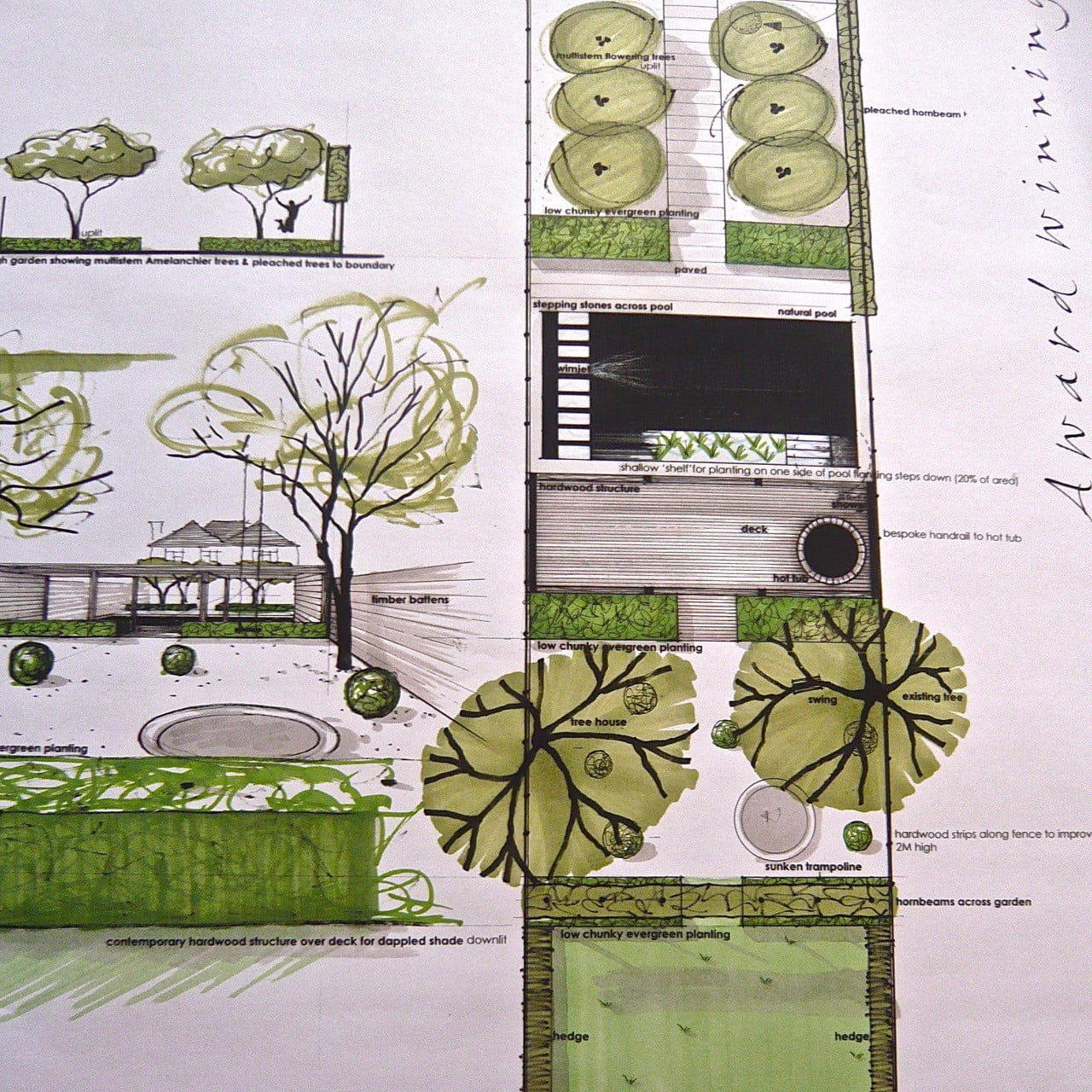 This is one of my drawings for a contemporary town garden in Wokingham. There is a swimming pool, contemporary hardwood structure for shade & lounging & very simple planting for a minimal appearance