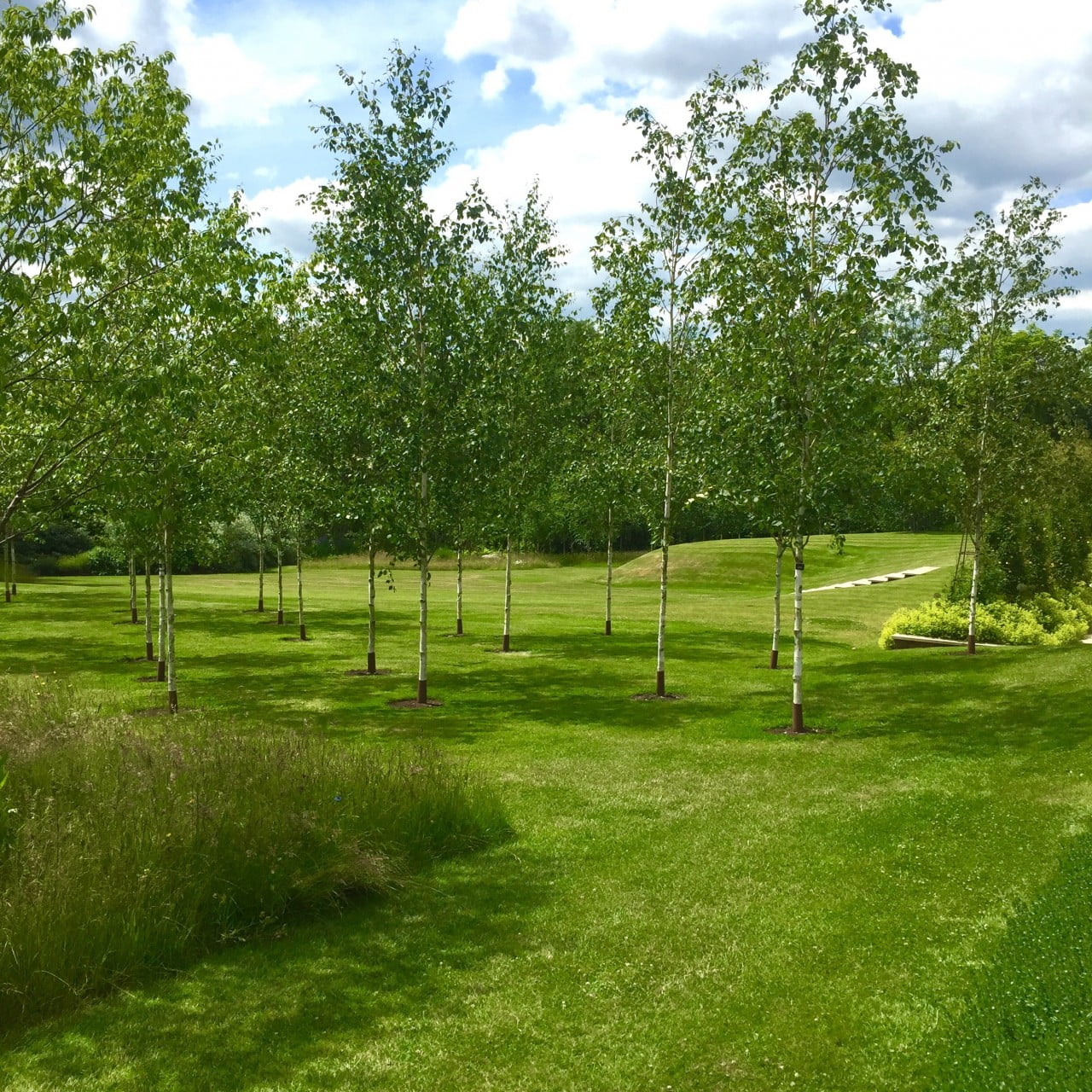 This beautiful garden is now open to the public. I took this photo just before the doors were opened. The day went really well & thankfully the sun came out from behind the clouds.