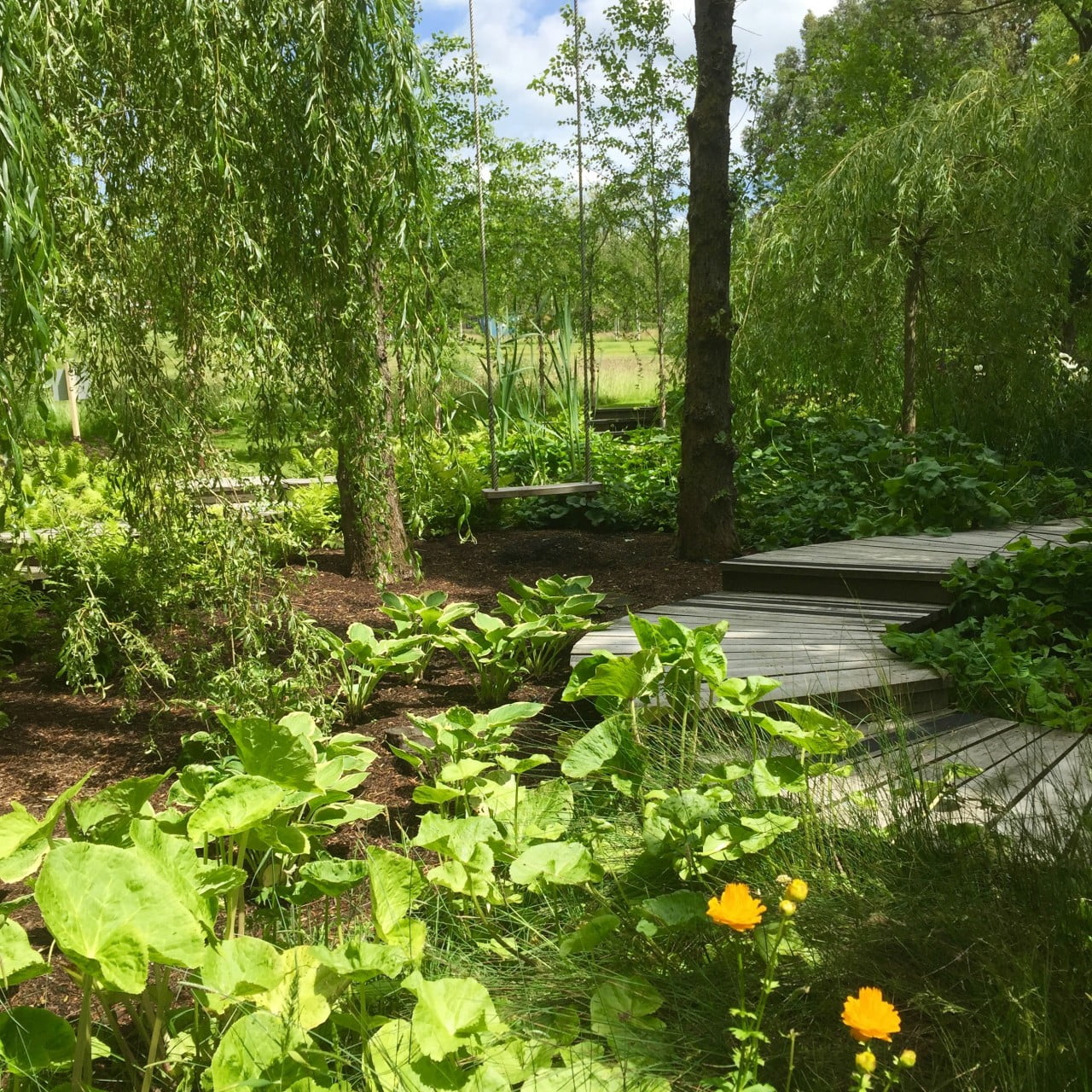 This is the boardwalk I designed to work over this boggy area that became a really beautiful bog garden. We created ribbons of plants that like to have their feet wet & it works really well