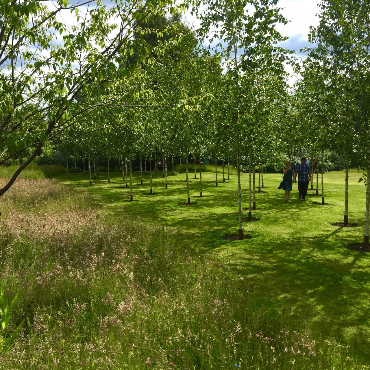 My client Jane's garden now opens as part of the open gardens scheme for charity. Luckily the sun shone & it went really well