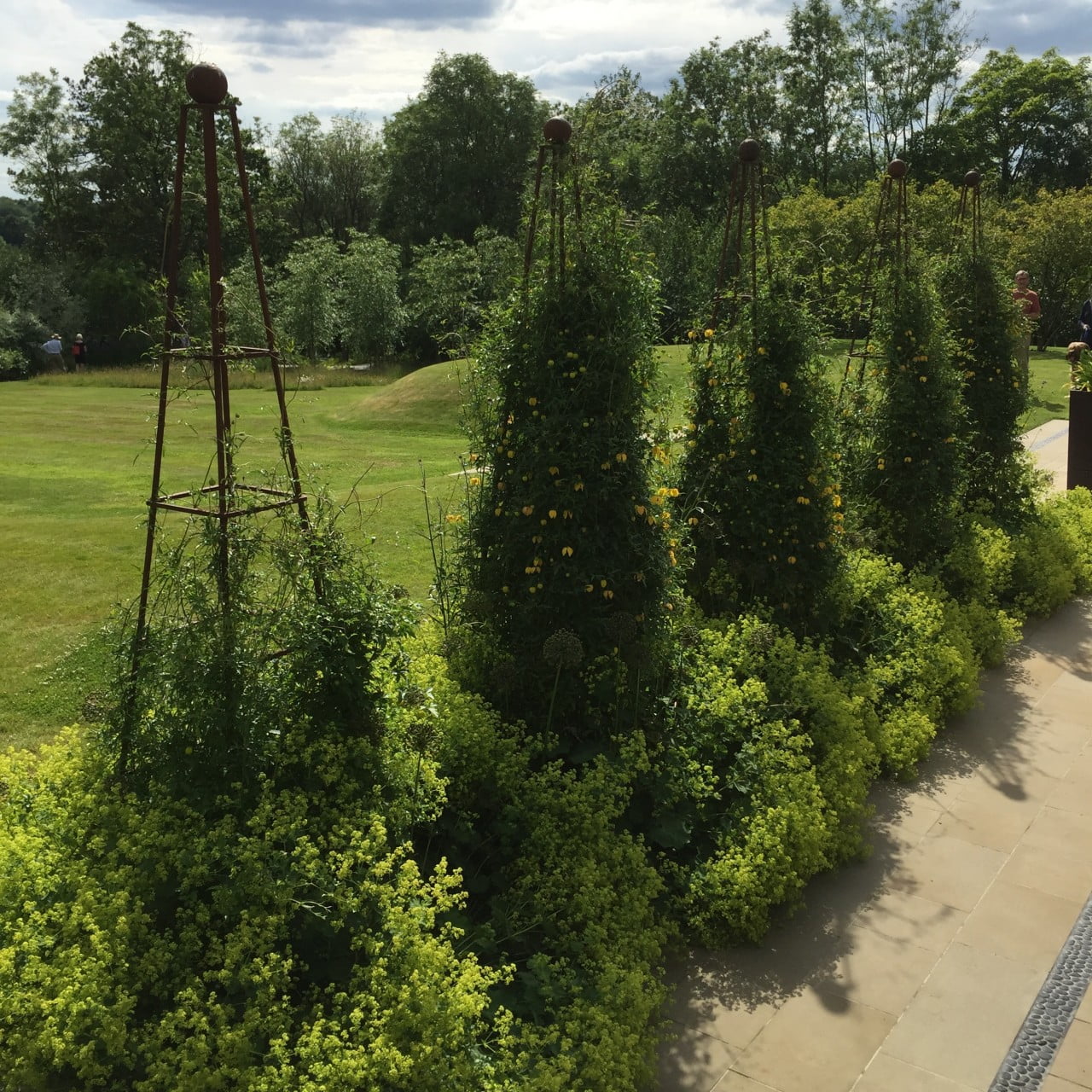 I persuaded my client to have these very tall obelisks for climbers to break up the terrace in this very large garden. They work really well due to using the correct proportion