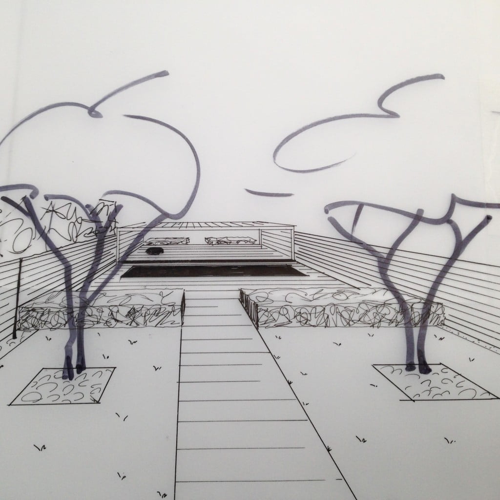 My original drawing of this contemporary garden - Jo Alderson Phillips