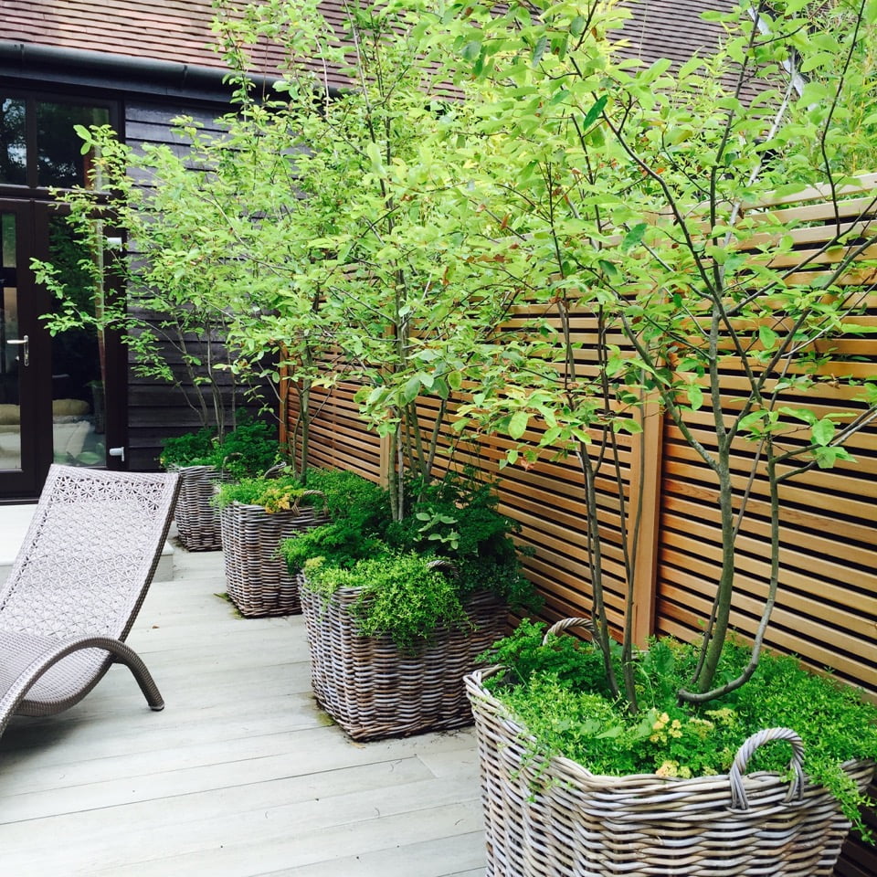 This is a before shot of the barn conversion garden near newbury