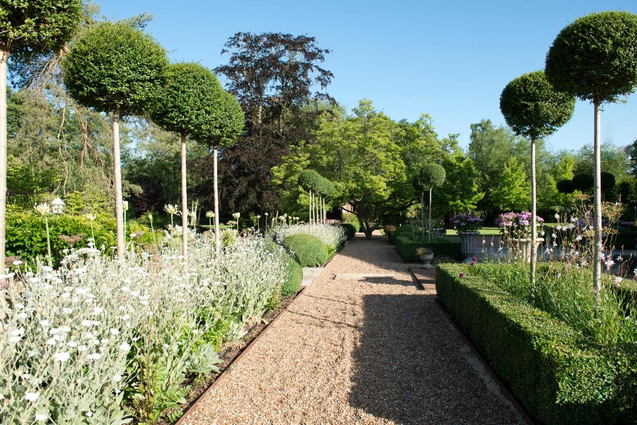 formal beds with topiary & pretty white planting