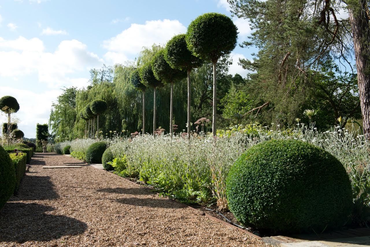 Topiary pompoms & pretty white planting I designed