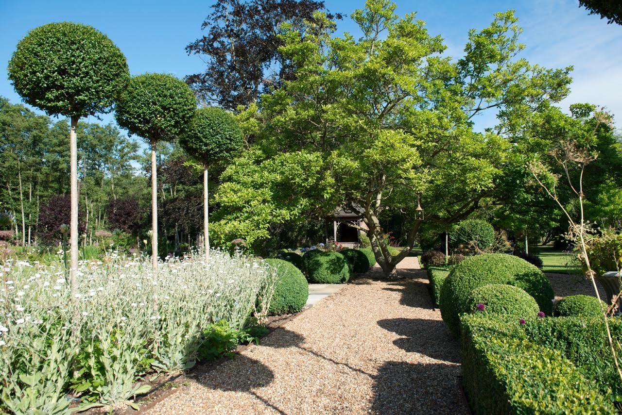 Pretty white planting as part of this formal garden design with topiary