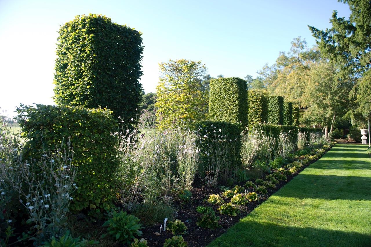 Formal large flower bed I designed for a manor house with columns & topiary cubes