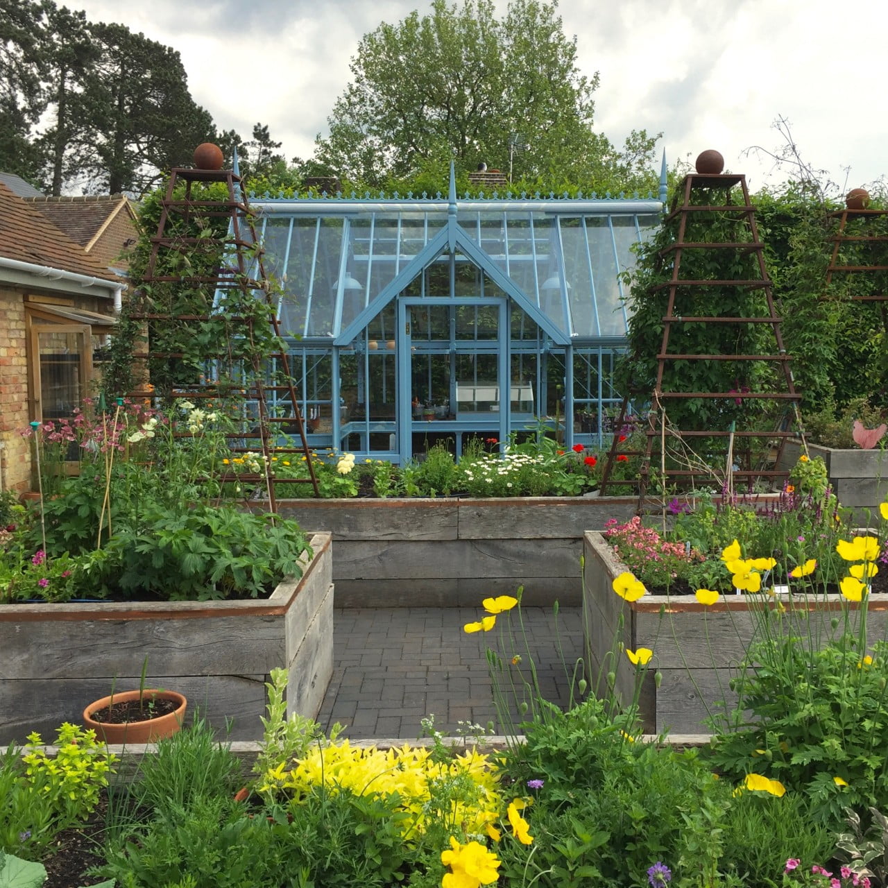 This is my client Janes' kitchen garden with new blue greenhouse