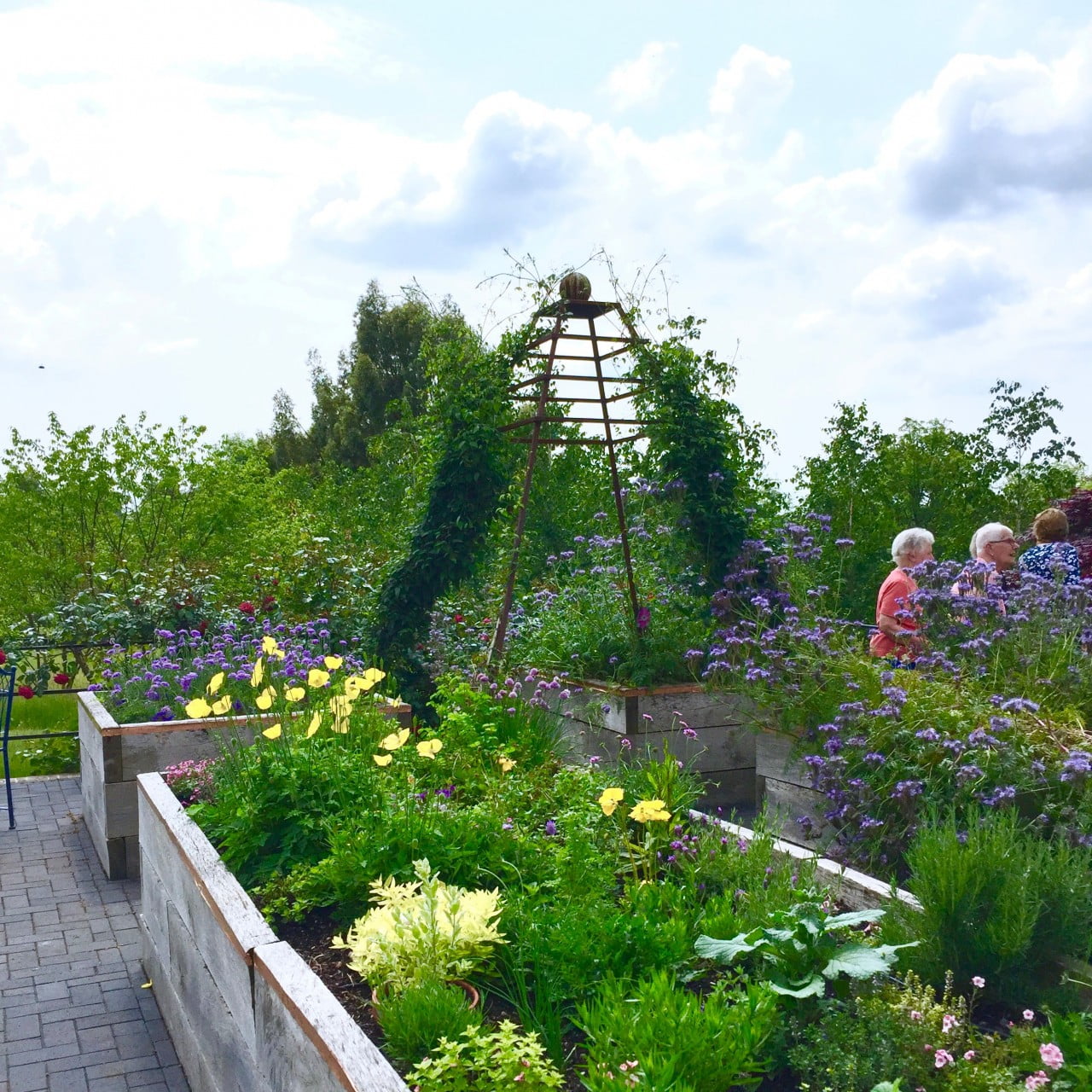 This is the cutting garden with raised beds I designed for Jane. I also designed the great frames for climbers which have worked really well