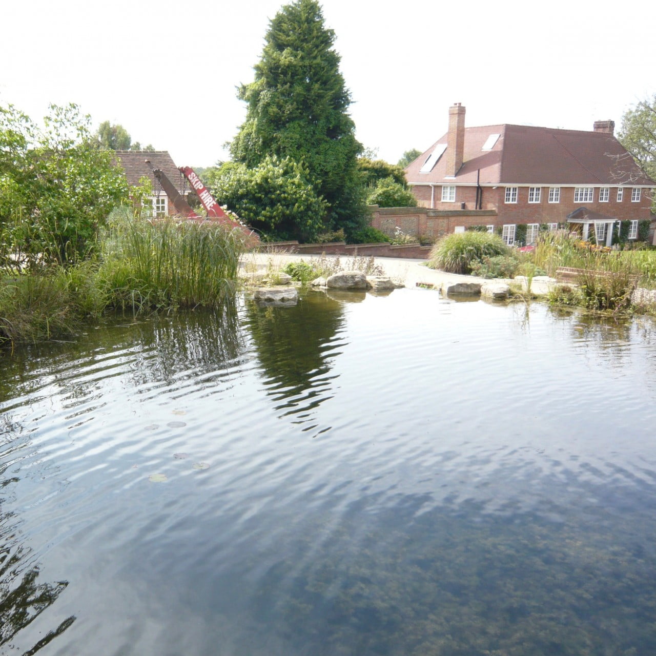 This is a before shot of a large garden in Amersham before the conifers are taken down