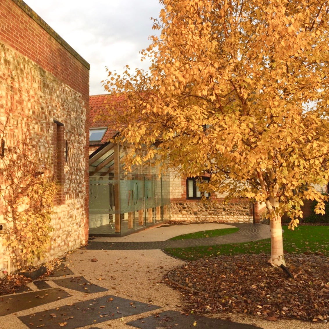 This new garden is almost complete in Autumn. It is a modern garden design of circles
