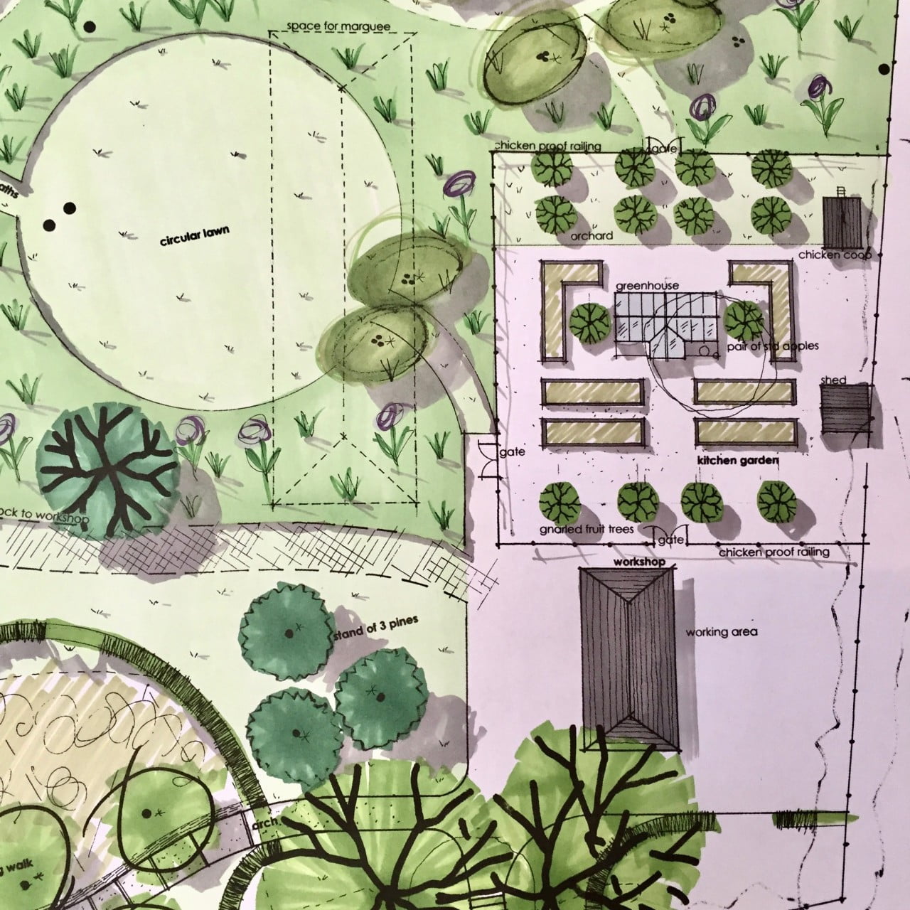 This is my drawing for a kitchen garden for my clients in Berkhamstead with raised beds, fruit trees & a bespoke greenhouse