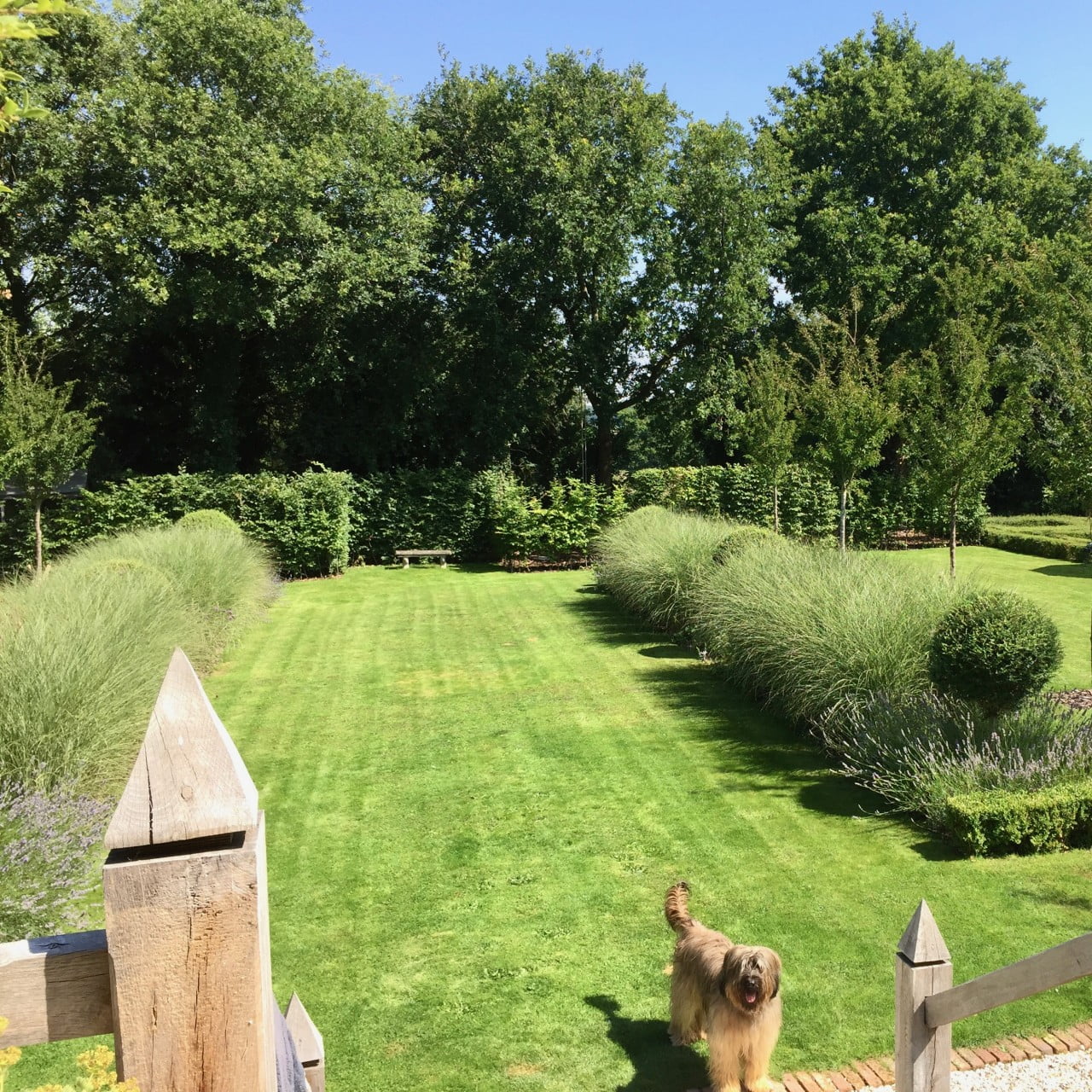 This is my own formal large garden here in Newbury Berkshire. We have lines of cherry trees & formal beds with ornamental grasses & topiary.It is dog friendly with plenty of space to play too