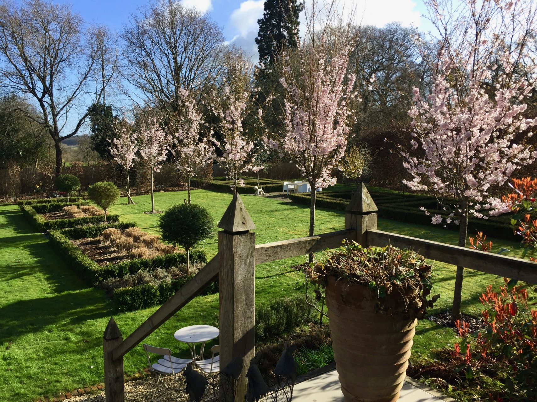 This is our own garden coming back to life after a really dreary winter. The cherry trees are in blossom & the amelanchier trees beyond have huge buds so should look lovely soon too