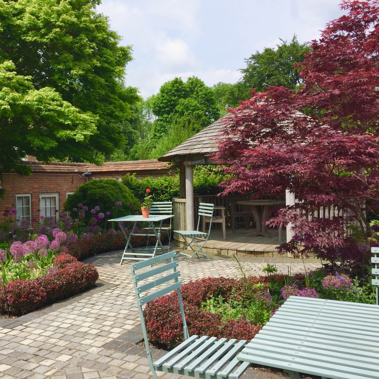 A small decorative garden around a Breeze house courtyard with purple acers & planting