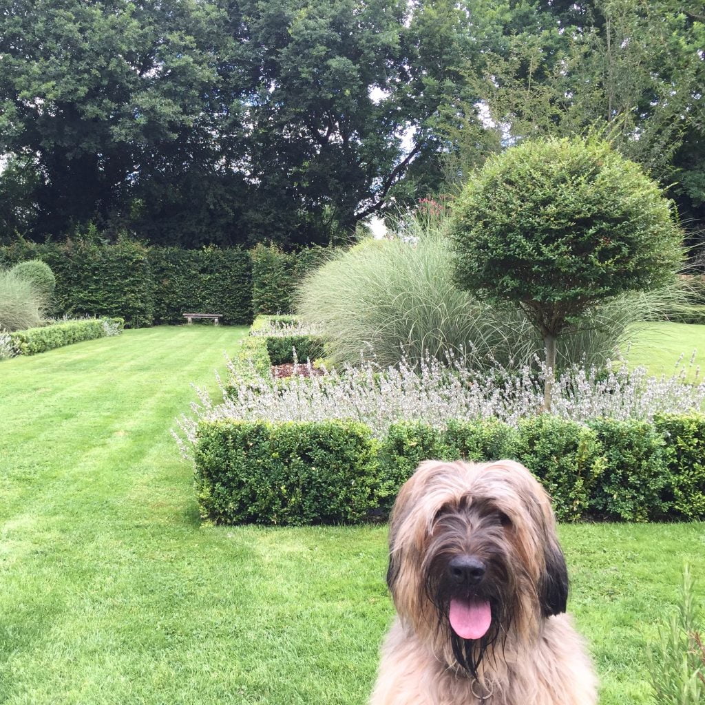 Designer garden for sale! - Jo Alderson Phillips