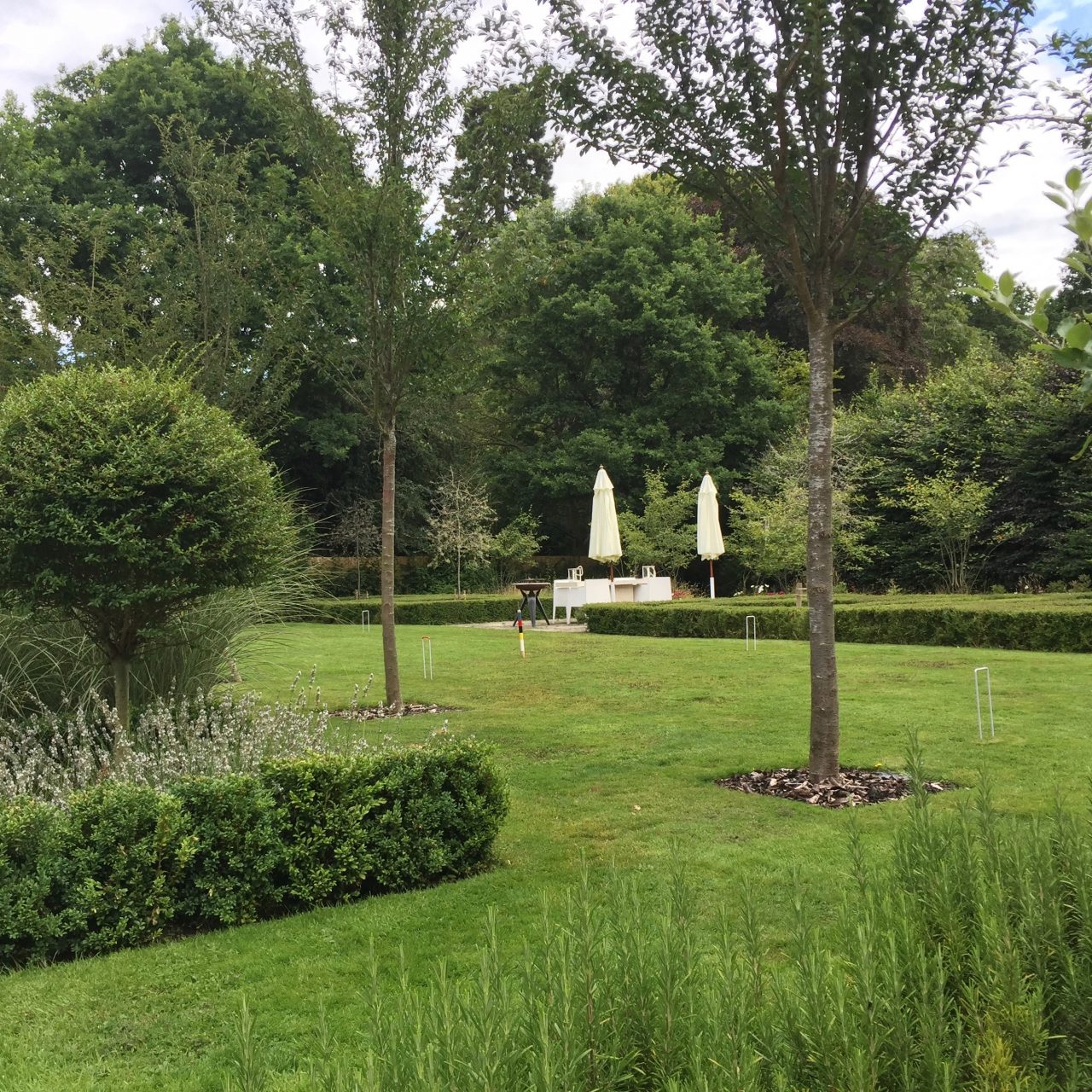 A view of my own garden looking at the parterre with topiary squares & Pyrus salicifolia (weeping pear) trees