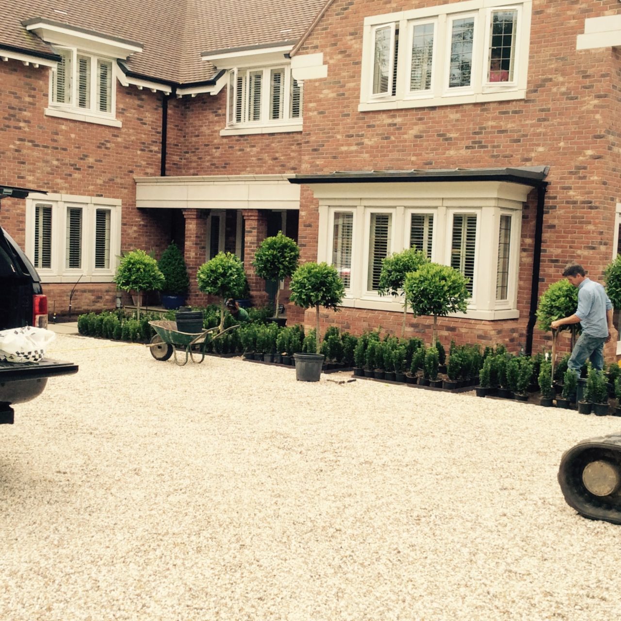 A parterre being built. Here the teams are just placing the plants before any planting can take place