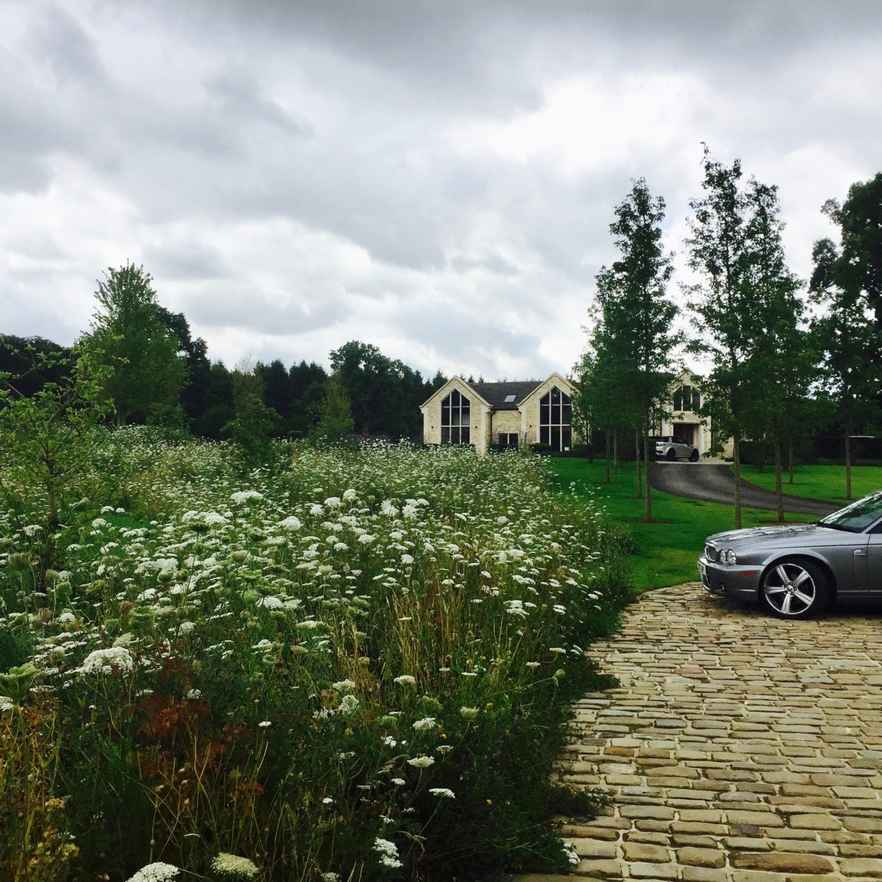 Here's a wild flower meadow taken last week (July 21st) & looking fantastic. It was sown as seed last year & now looks amazing