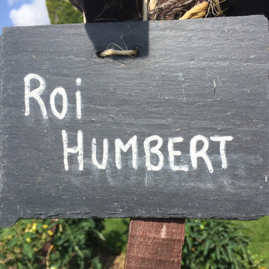 Roi Humbert is a type of tomato grown at Chateau Bourdaisiere