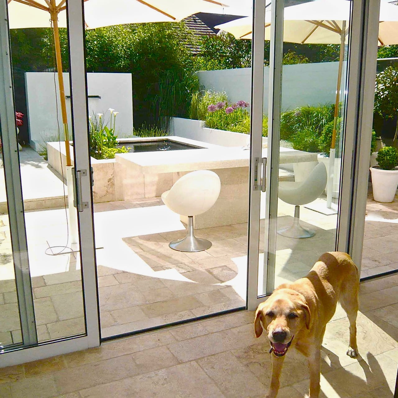 garden complete! - Jo Alderson Phillips