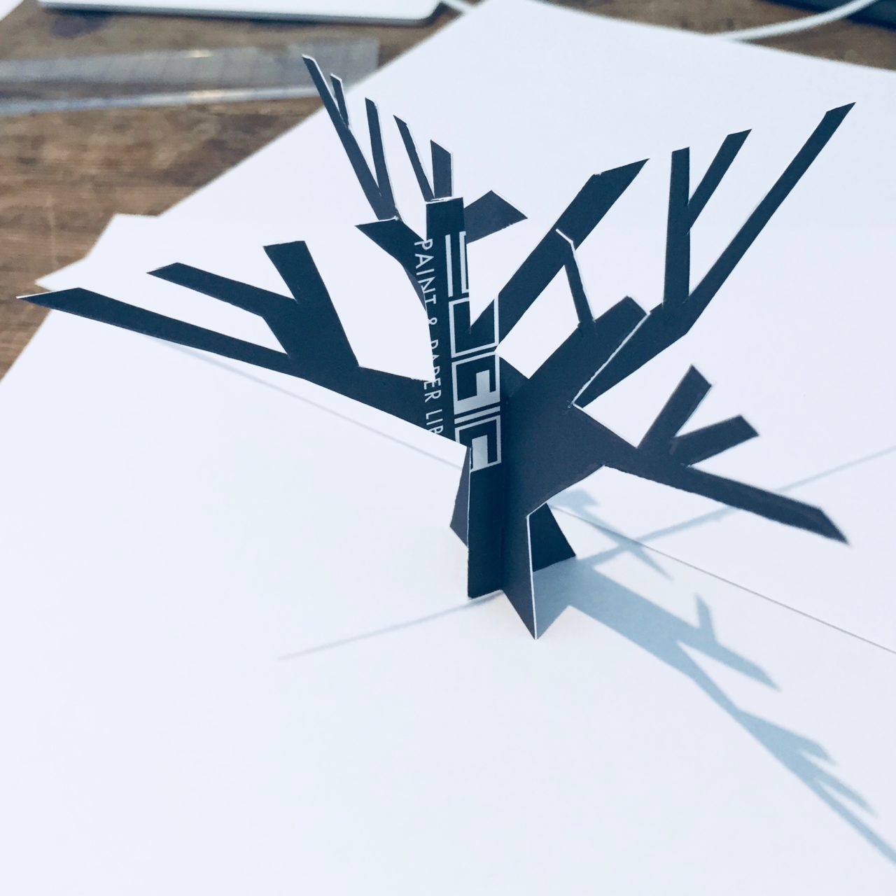 This is a first attempt cardboard maquette for a steel tree in one of my clients gardens. There's more to being a garden designer than you might think!