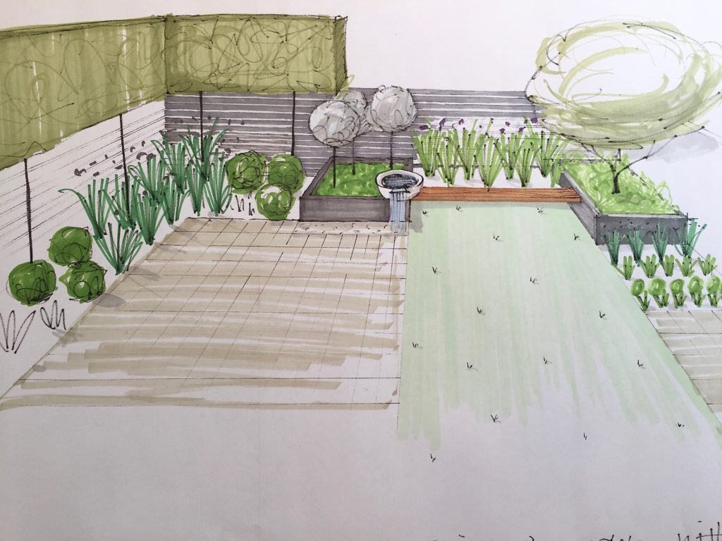 Sketch of proposed garden - Jo Alderson Phillips