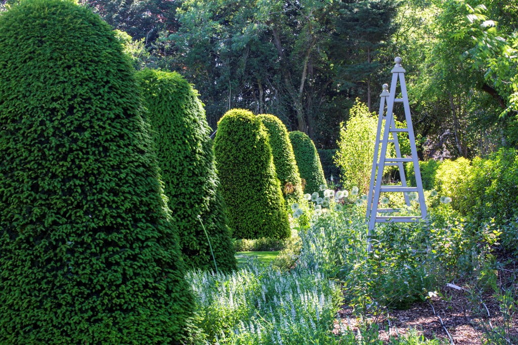 Formal garden design by www.joannealderson.com