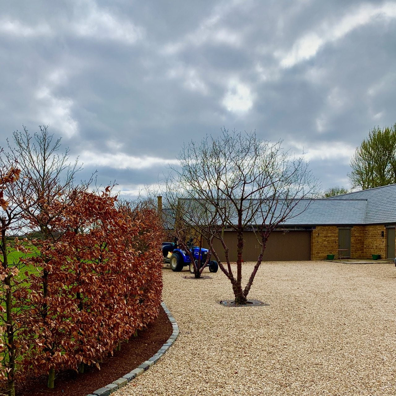 Beautiful multistemmed prunus serrula trees marking out the parking slots in this Cotswold garden I designed