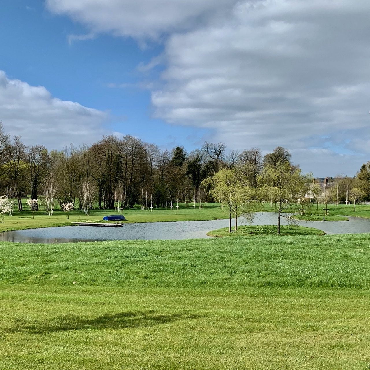 new lake in a large Cotswold garden with silver birch trees & willows by Joanne Alderson Design