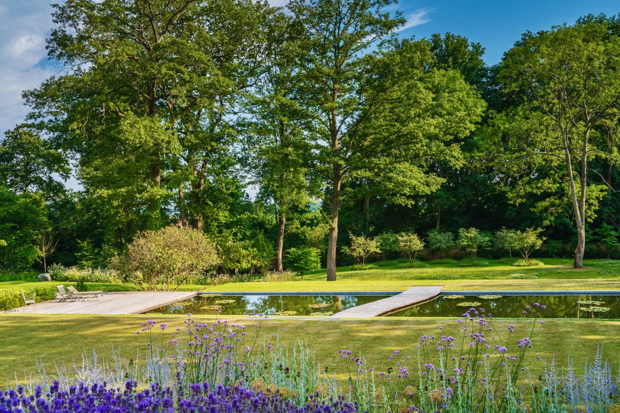 reflection pool in a garden designed by www.joannealderson.com